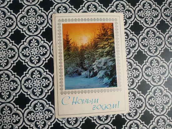 Открытка СССР 1976 год. Чистая. А.Жребин. Состояние на скане.