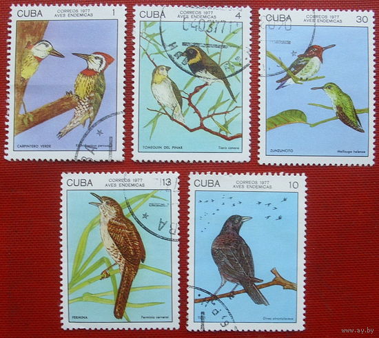 Куба. Птицы. ( 5 марок ) 1977 года. 2-15.