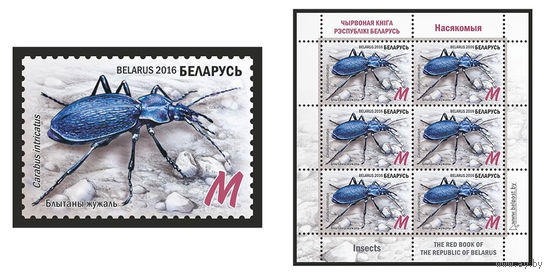 2016 БЕЛАРУСЬ   марка или малый лист "Путаная жужелица" MNH