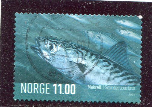 Норвегия. Морская фауна, вып.5