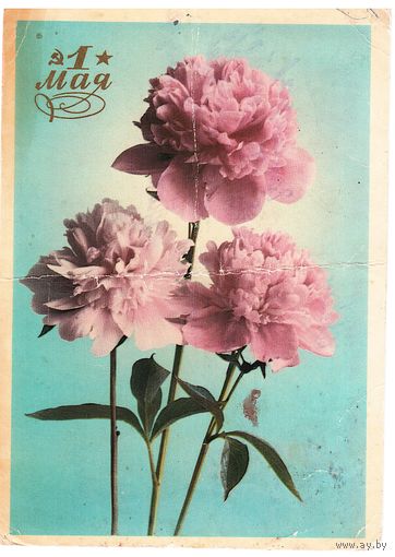 Почтовая карточка СССР 1976, подписана. Худ. В. Васильев