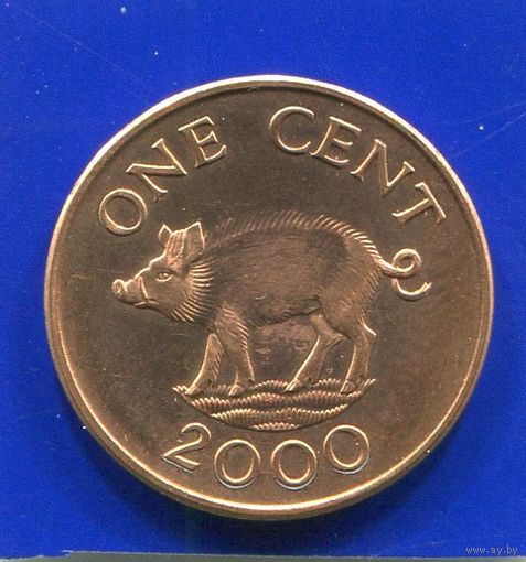 Бермудские острова , Бермуды 1 цент 2000 UNC