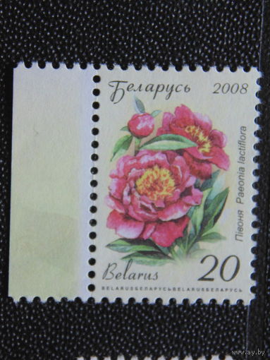 Беларусь 2008 г. Стандарт.
