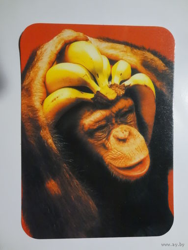 Календарик 2000 г. Есть в жизни счастье!