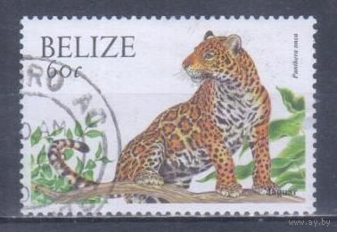 [962] Белиз 2000. Фауна.Дикие кошки.Ягуар. Гашеная марка.
