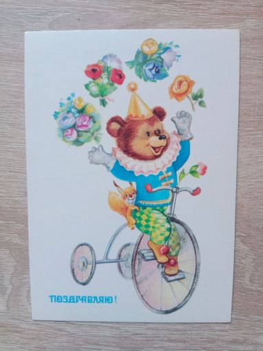 Новаковская 1988, чистая