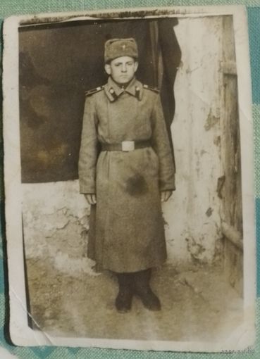 Фото в коллекцию