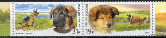 Россия 2016. Фауна России. Служебные породы собак. Сцепка 2 марки 2101-02 (1362)