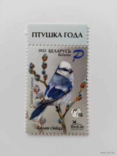 РБ  2022 птица года  синица