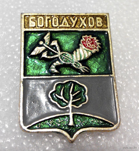 Значок. Богодухов #0793