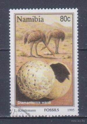 [346] Намибия 1995. Фауна.Ископаемые птицы. Гашеная марка.