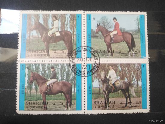 Шарджан. 1972г. Лошади.