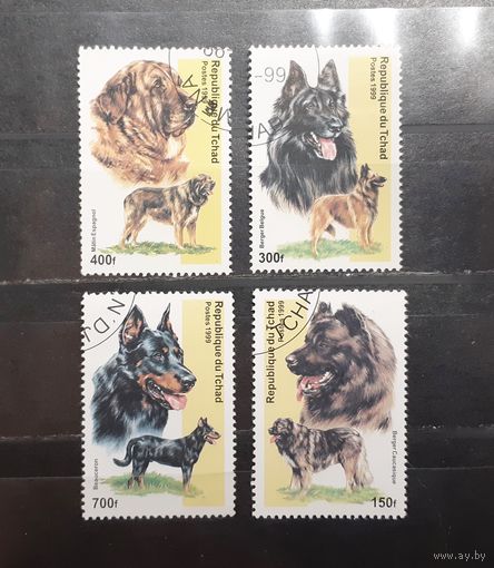 Чад. 1999 год. Фауна. Собаки (603)