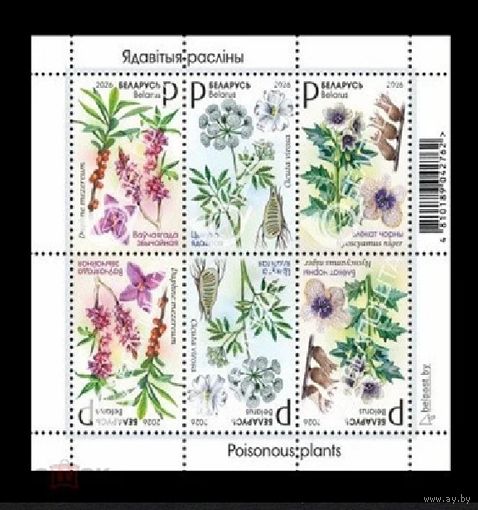 2026 Беларусь 1647-1649 Флора. Ядовитые растения. Волчеягодник. Ядовитый вёх. Чёрная белена (блок) **