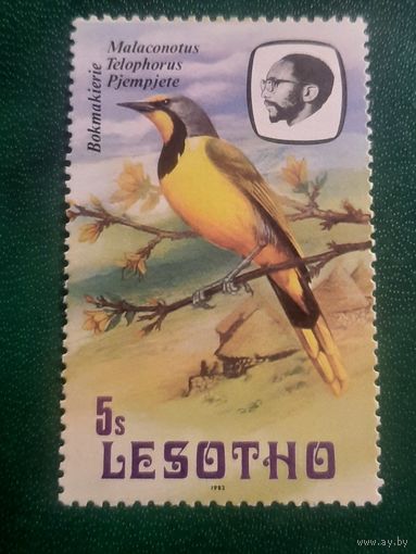 Лесото 1982. Фауна. Птицы. Malaconotus Telophorus Pjempjete
