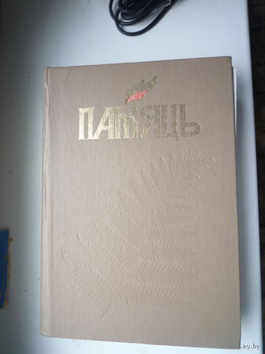 Память. Витебск. 2-я книга