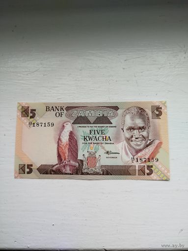 5 квача Замбия