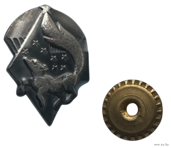 Знак фрачник 5 ОБрСпН