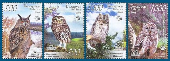 Беларусь 2008  Совы