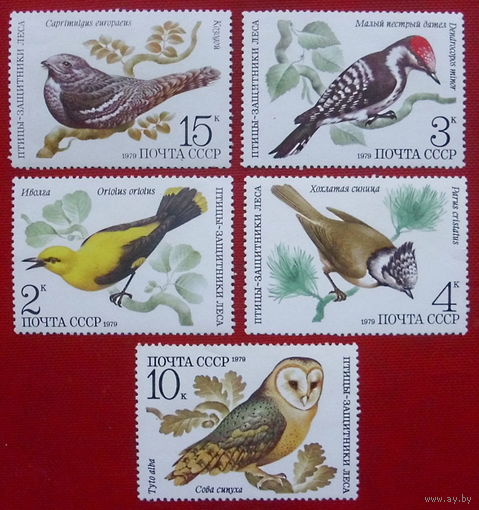 СССР. Птицы-защитники леса. ( 5 марок). 1979 года. 5-15.