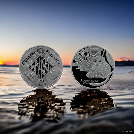 Свитязянский ("Свіцязянскі"). Орешниковая соня. Серия "Заказники Беларуси", 20 рублей 2023, серебро РЕДКОСТЬ! МАЛЫЙ ТИРАЖ - 750 штук!