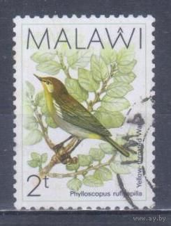 [1219] Малави 1988. Фауна.Птицы. Гашеная марка. 1