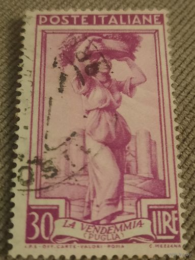 Италия 1950. Сборщица винограда