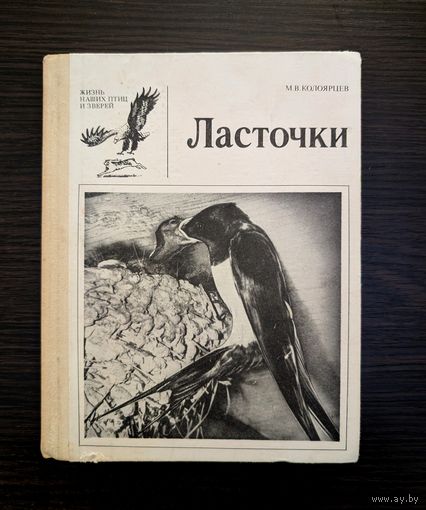 Ласточки | Жизнь наших птиц и зверей | Выпуск 10 | Птицы | М. В. Колоярцев