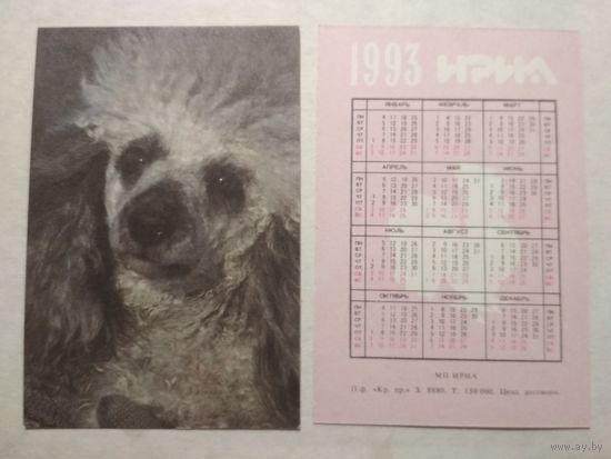 Карманный календарик. Собака. 1993 год
