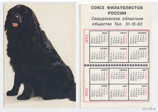 Календарь ньюфаундленд 1992-1993