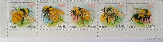 Россия 2005 Шмели, сцепка 5 м. MNH**