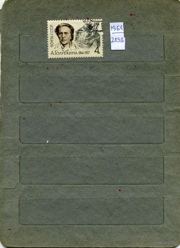 СССР, 1964,  ГОЛУБКИНА,  серия   1м