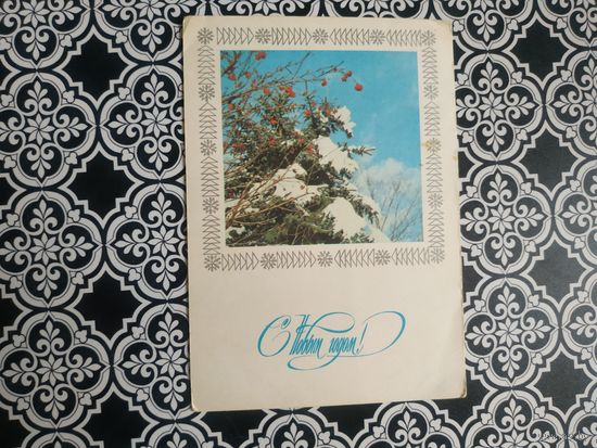 Открытка СССР 1976 год. Чистая. С.Пегов. Состояние на скане.