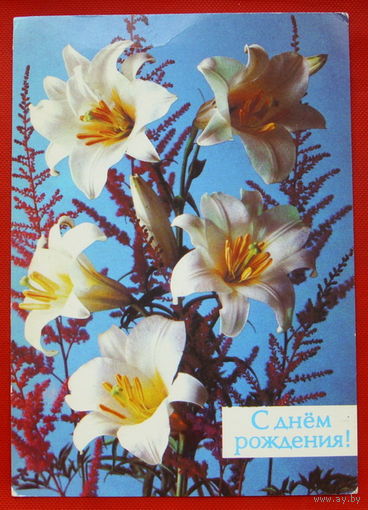 С Днём Рождения! Подписанная.1988 года. Костенко. # 254.