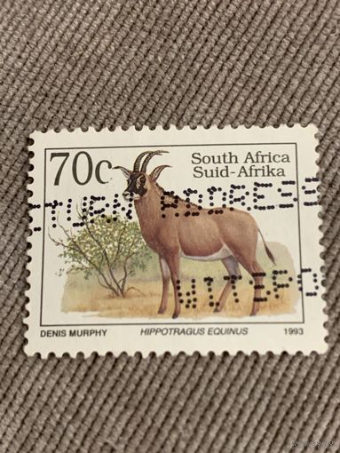 Восточная африка 1993. Hippotragus Equinus. Марка из серии