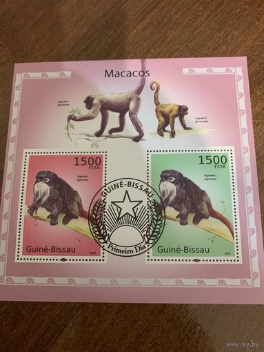 Гвинея Биссау 2010. Макаки. Малый лист