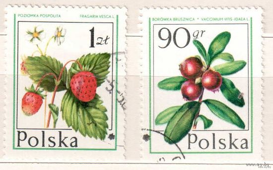 Ягоды. 2 марки, гаш. Польша.