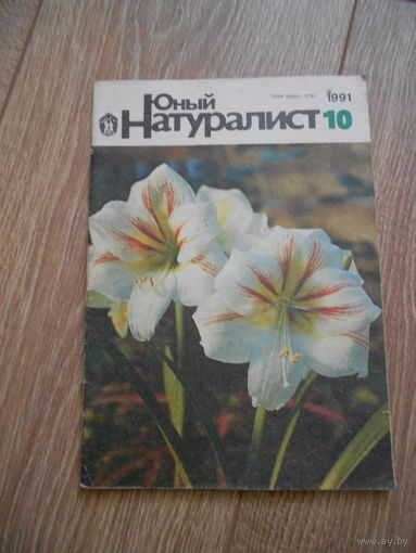 Юный натуралист 10/1991