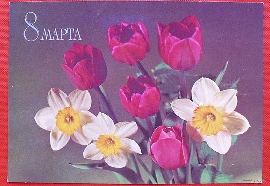 8 Марта! Чистая. 1982 года. Круцко.