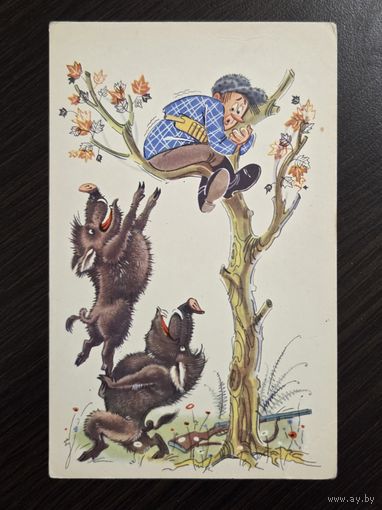 Орлов Шварц Жаль, что врач 1968 чистая открытка СССР