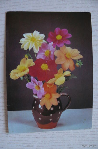 Киндрова Д., Осенний букет; 1988, чистая.