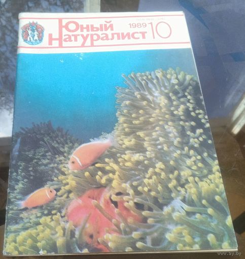 Юный натуралист 10-1989