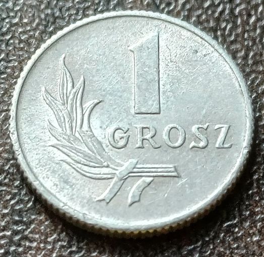 Польша 1 грош, 1949    ( 1-5-2 )