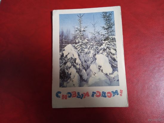 Открытка (почтовая карточка) С НОВЫМ ГОДОМ!  Фото Г.И. Костенко. 1967 год