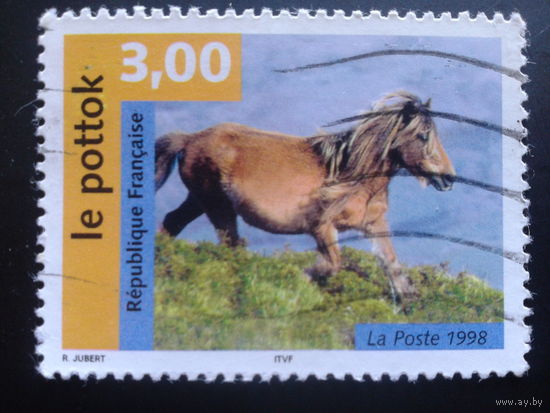 Франция 1998 конь