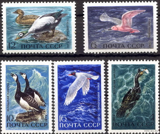 СССР 1972 Фауна  птицы Пернатые море (5м)**