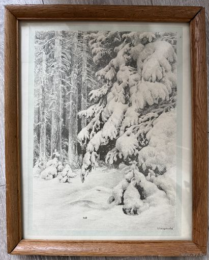 Литография М.Лебединский 1891-1972. Серия Тайга 1947г