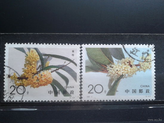 Китай, 1995. Цветущее растение
