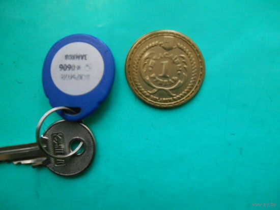 Сувенирная монета  Щасливы рубель. Мирский замок. Латунь