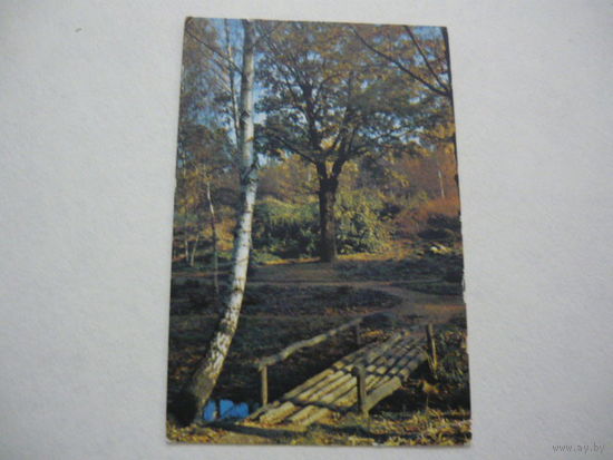 В лесу.1982г
